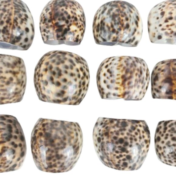 Set of 12 Cowrie Tiger Shell Napkin Rings Natural Seashell Table Decor Tableware - Picture 2 of 9